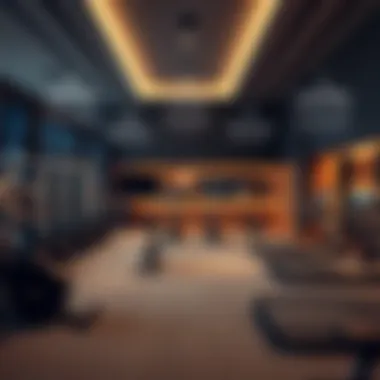 Infographic depicting the types of gym facilities available in Dubai