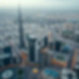 Aerial view of Dubai's skyline showcasing diverse land use